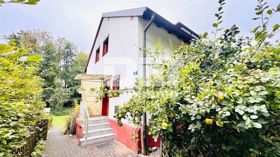 Modernisiertes Einfamilienhaus auf riesigem Grundstück mit Carport und Nebengebäude - Haupteingang
